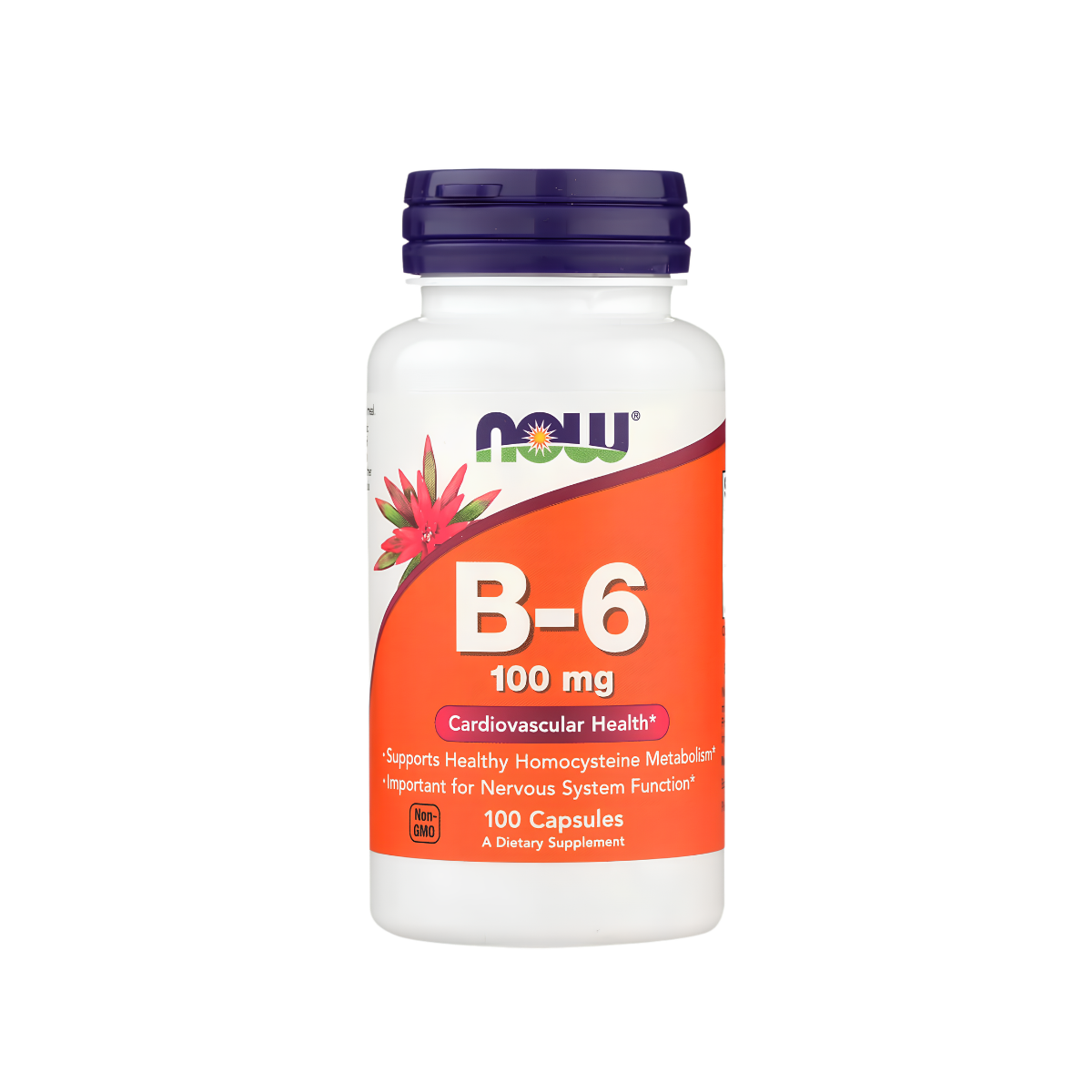NOW VITAMIN B6 X 100 KAPSULA