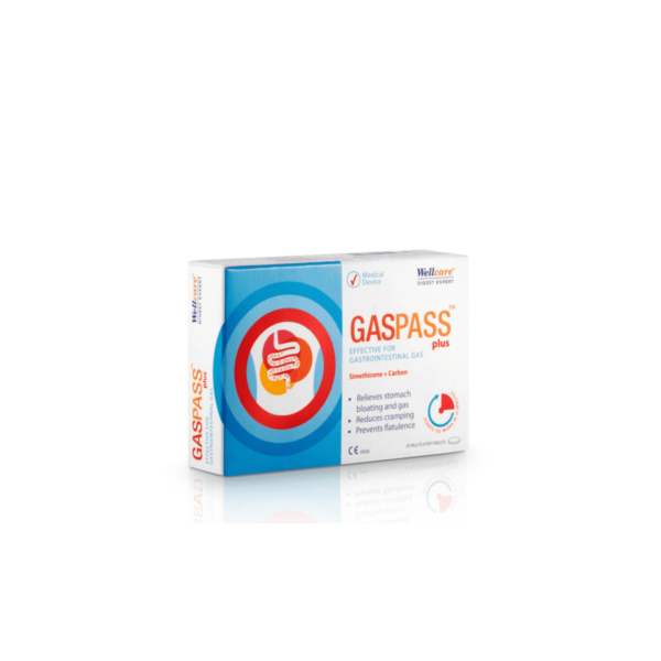 WELLCARE GASPASS PLUS X 20 TABLETA